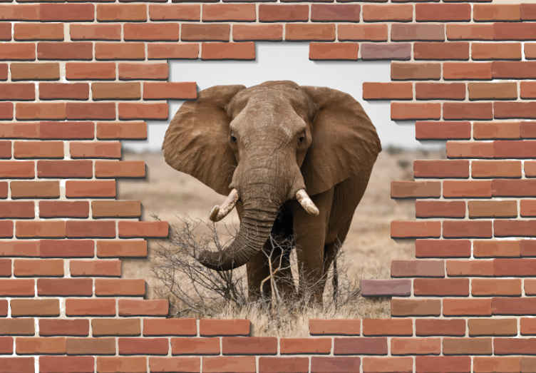 3D broken wall with elephant 3D Wall Mural - TenStickers