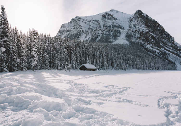Realistic snowy forest Christmas wall mural - TenStickers