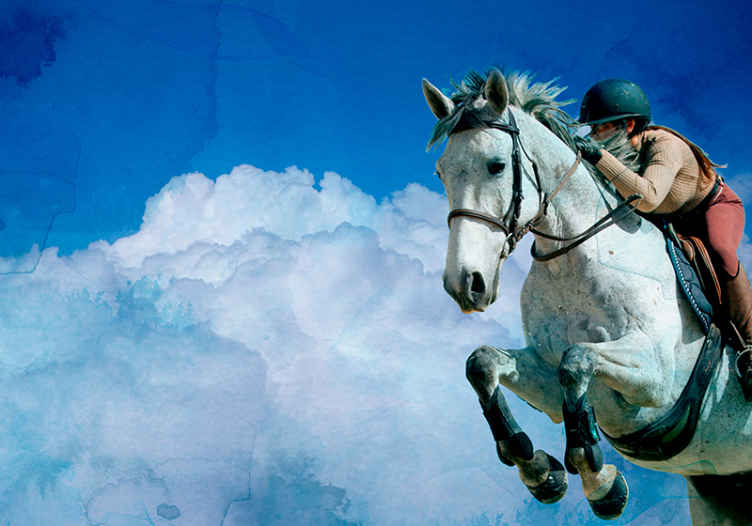 Atlama atı sporcusu hayvan duvar resim - TenStickers