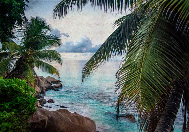 Nature wall mural tropical beach atmosphere - TenStickers