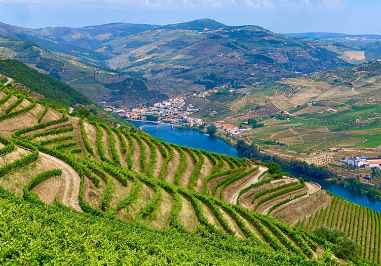 Mural de paisajes valle del viñedo río - TenVinilo