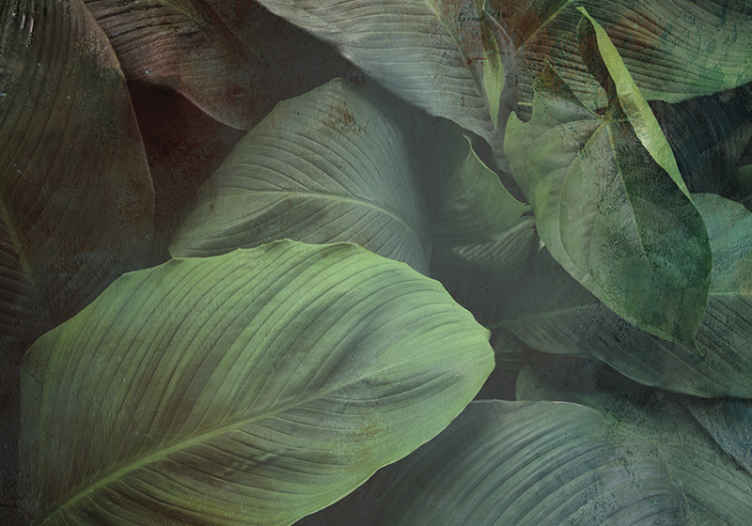 Mural para salón Hojas verdes - TenVinilo