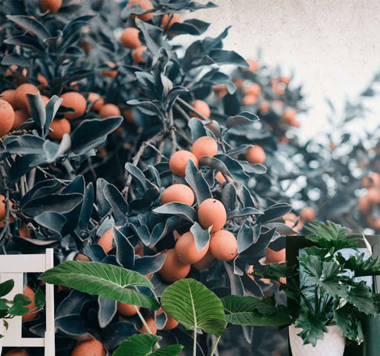 Murales per camera Frutti arancioni sull'albero