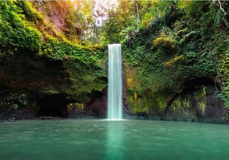 Belo fotomural de parede da natureza da cachoeira da sel - TenStickers