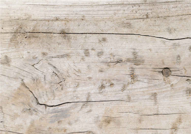 Wood wall mural textured wooden surface - TenStickers