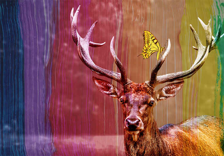 Animal wall mural majestic deer head - TenStickers