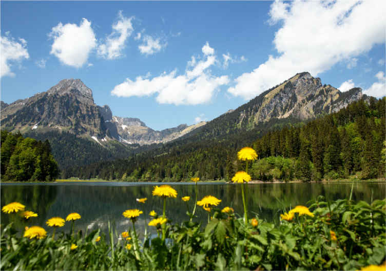 Tapisserie paysage vue lacustre en montagne - TenStickers