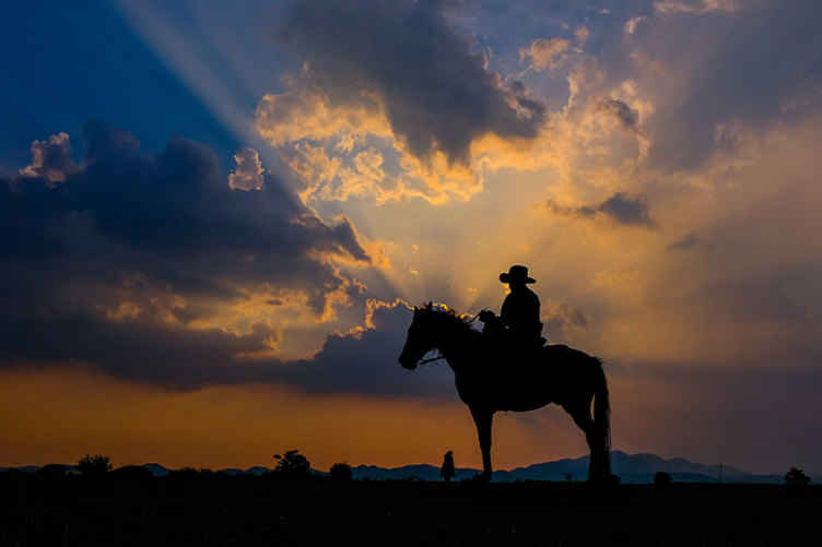 Animals wall mural rider on horse - TenStickers