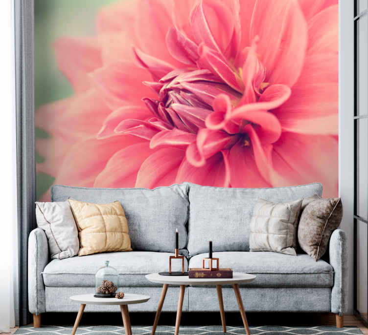 Pink daisy flower mural wallpaper TenStickers