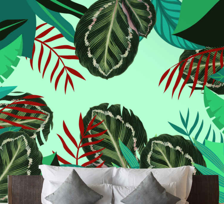 Fotomurali fiori Foglie di maranta rossa