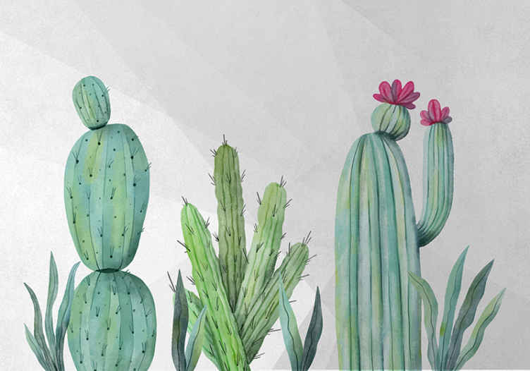 Cactus filled wall illustration wall mural - TenStickers