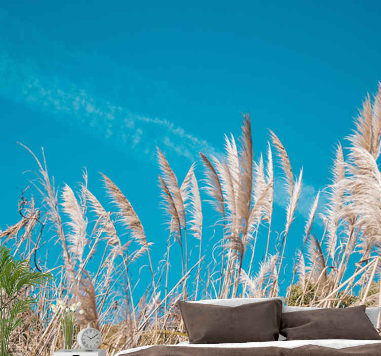 Fotomurale paesaggi Estate e sole pampasgrass