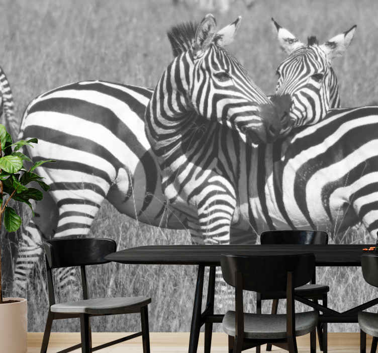 Fotomurale paesaggi Bellissime zebre che abbracciano