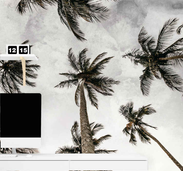 Fotomurale paesaggi Fotografia ad angolo basso di palme