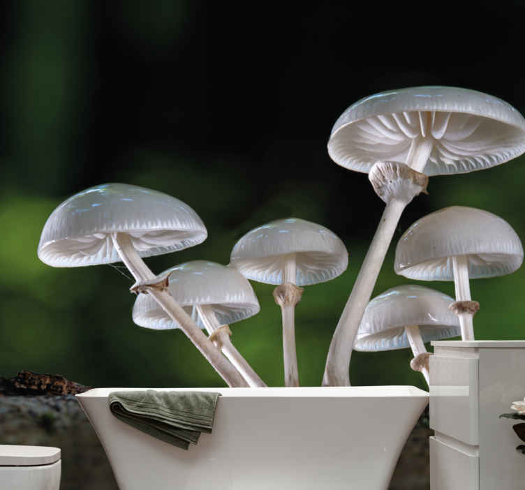 Fotomurali natura crescita di cluster di funghi - TenStickers