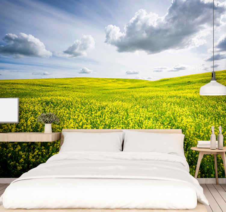 Clouds and field aesthetic nature wall mural - TenStickers