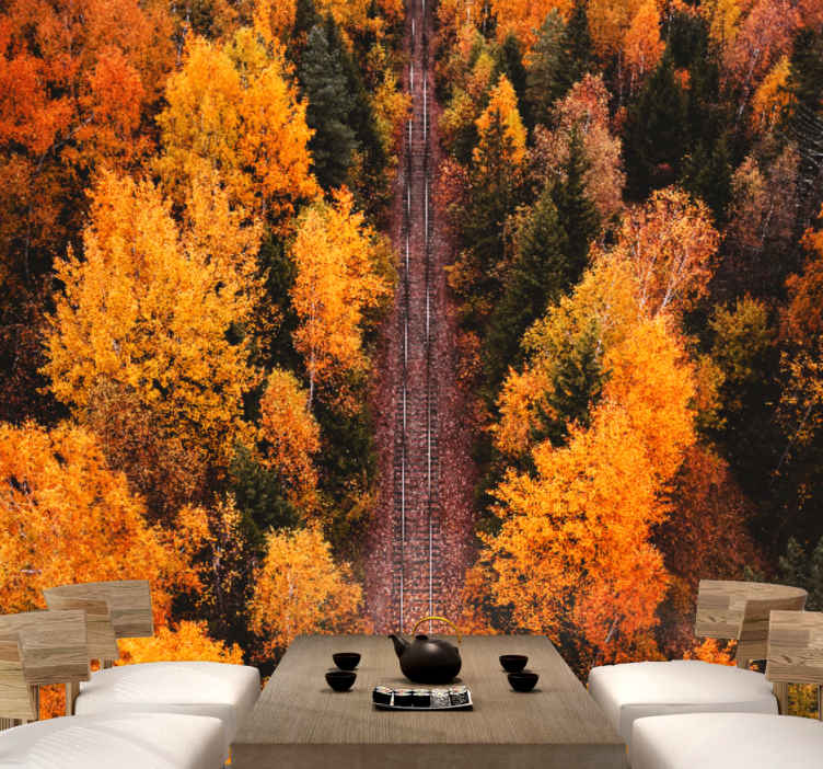 Fotomurais de paisagens trilha da floresta no outono - TenStickers