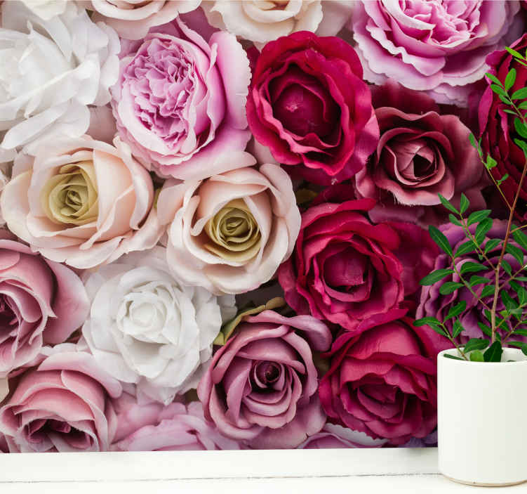 Fotomural de flores Rosas rosadas y blancas - TenVinilo
