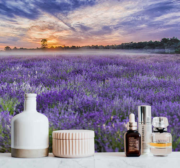 Fotomurale paesaggi Colori estetici del campo di lavanda