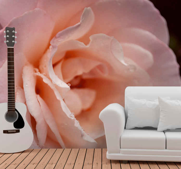 Fotomurali fiori Gocce d'acqua di rose rosa in stile elegante