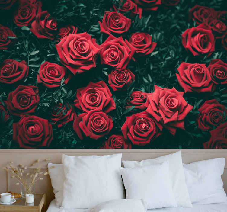 真っ赤なバラのバラの壁画 Tenstickers