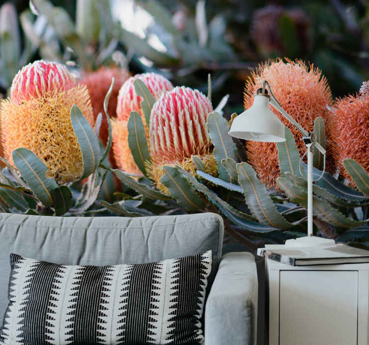 Banksia native Australian plants wall mural - TenStickers