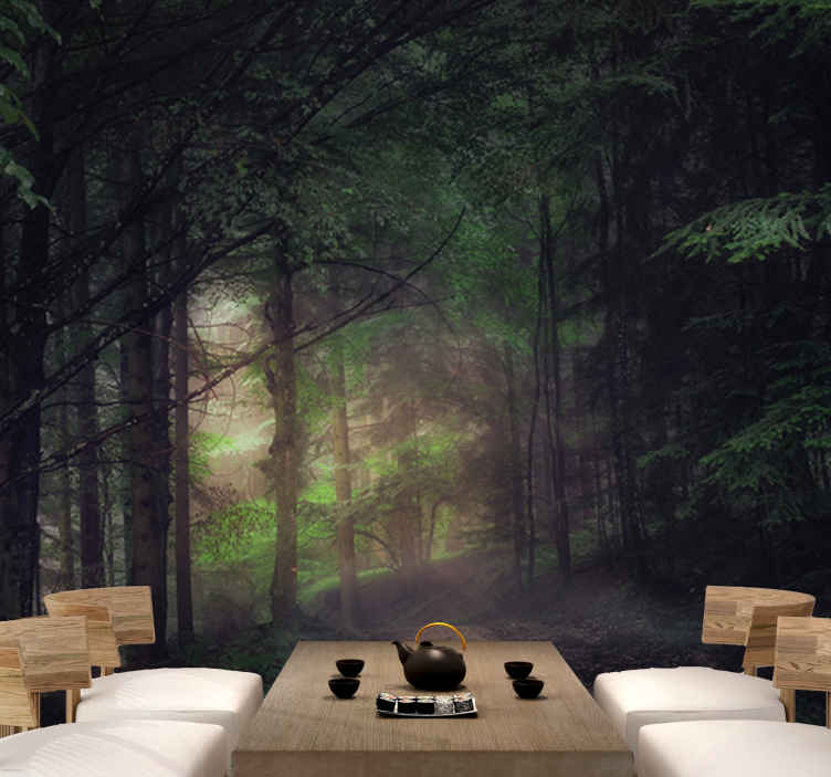 3D Forêt Arbres Soleil Nature papier peint Papier peint salon chambre à coucher 