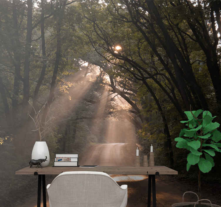 Mural de naturaleza sendero del bosque radiante - TenVinilo