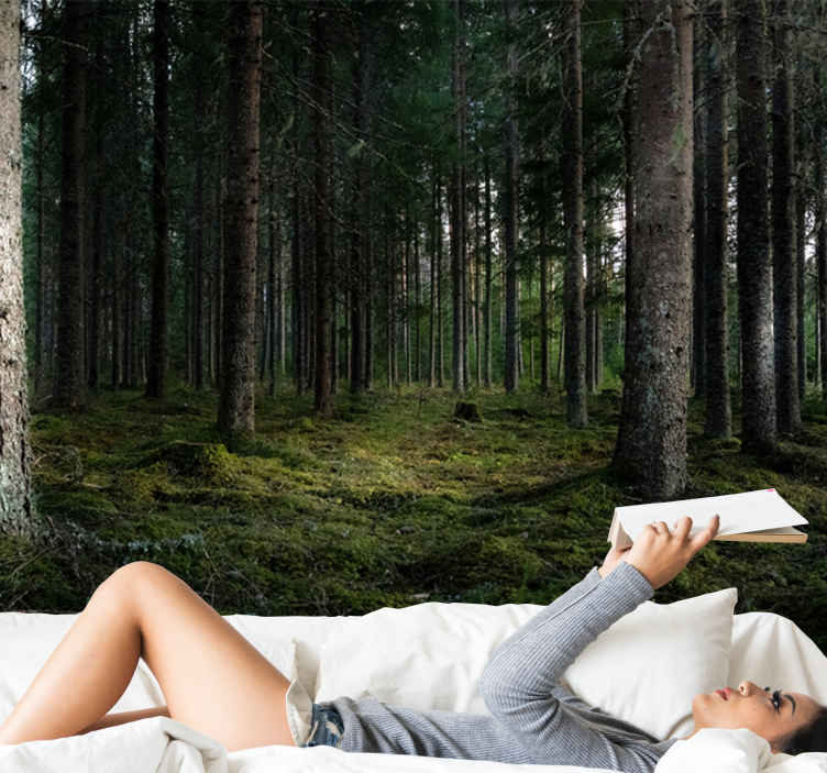 Parati per salone Alberi nella foresta