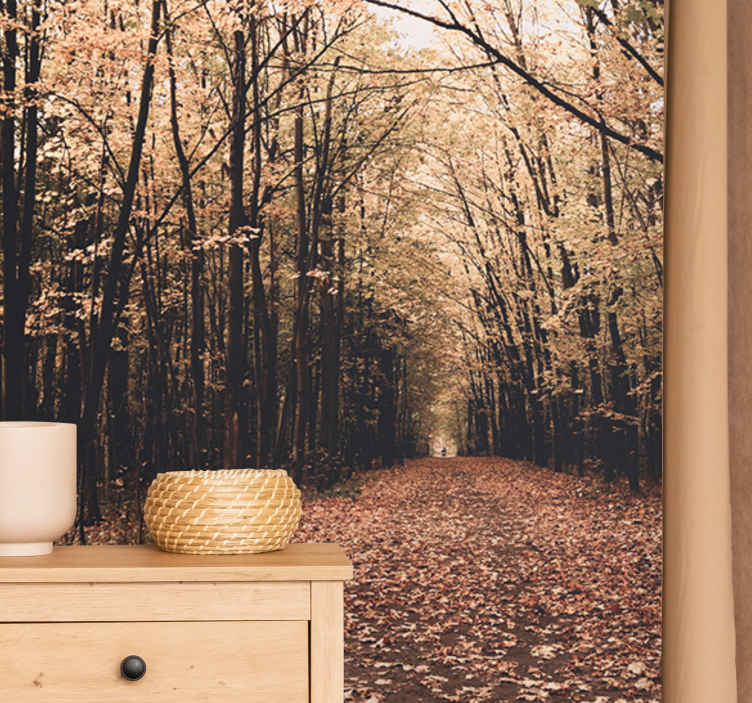 Forest wall mural autumn pathway scene - TenStickers