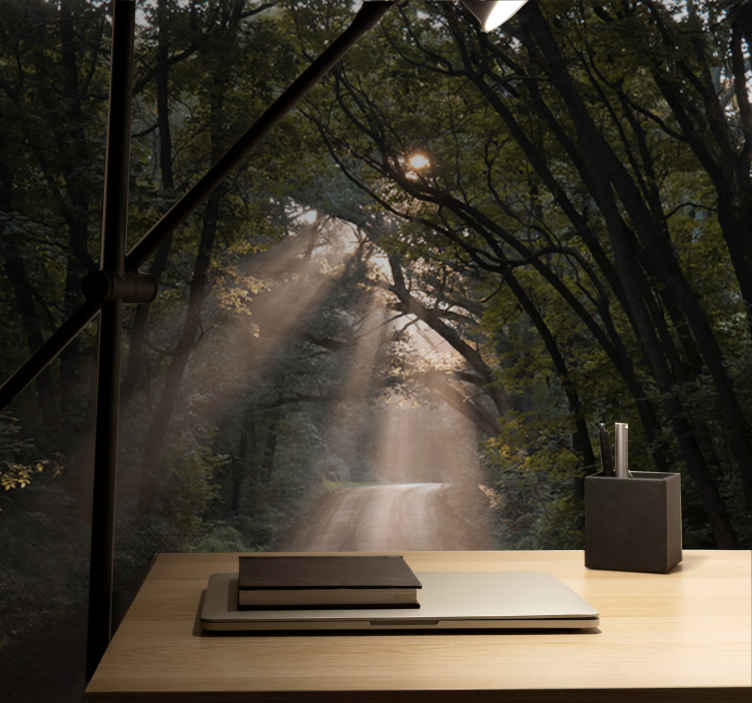 Parati per salone Corridoio della foresta da sogno