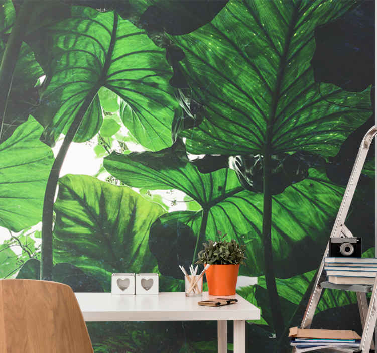 Beautiful green rainforest forest mural wallpaper - TenStickers