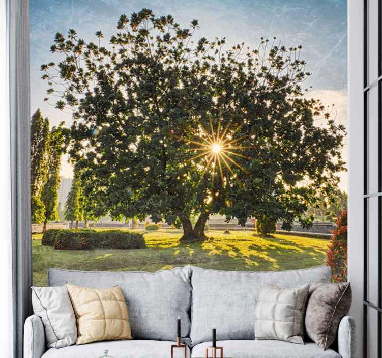 Nature wall mural sunny tree perspective - TenStickers
