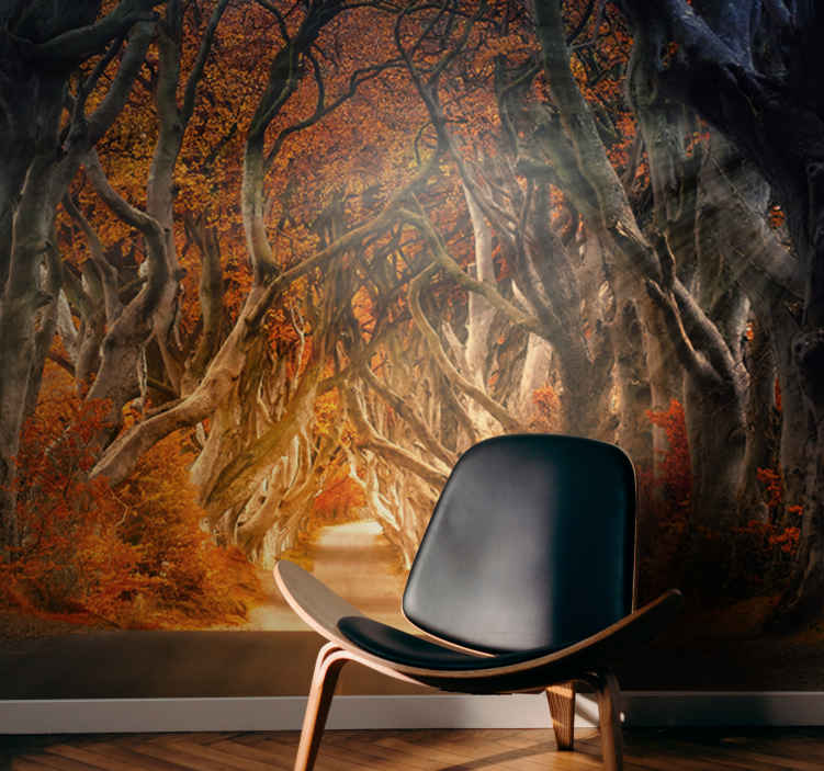 Beautiful view from forest road mural wallpaper - TenStickers