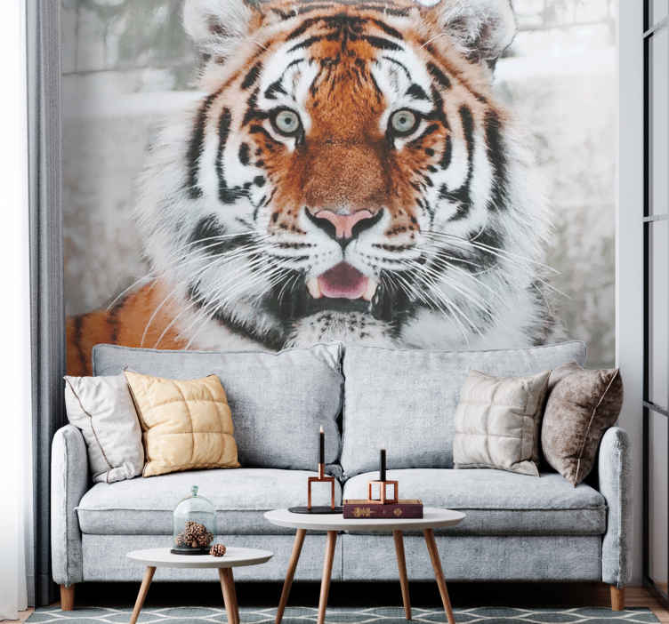 Dominant beautiful tiger mural wallpaper - TenStickers