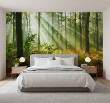 Lesní fototapeta přírodní světlo v lese - TenStickers