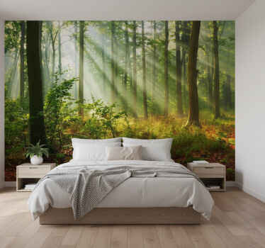 Fototapety na stenu les slnečné ráno háj - Tenstickers