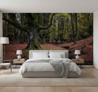 Fototapety na stenu les očarujúci jesenný les - Tenstickers