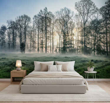 Fototapety na stenu les hmlisté ranné lúky - Tenstickers
