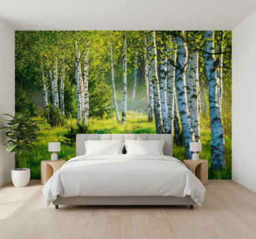 Lesní fototapeta břízový háj moderní - TenStickers