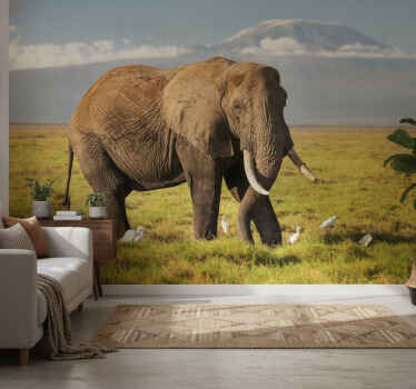 Fotomurale africano elefante del kilimangiaro - TenStickers