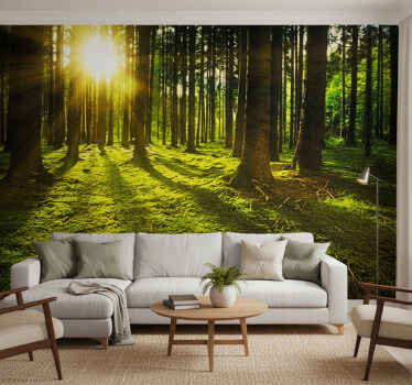 Tapisserie vert forêt ensoleillée - TenStickers
