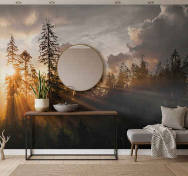 Entrance wall mural forest with fog and sun - TenStickers