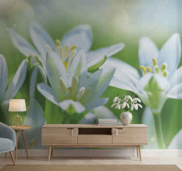 Entrance wall mural meadow of magnificent snowdrops - TenStickers