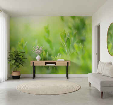 Hallway wall mural light green spring leaves - TenStickers