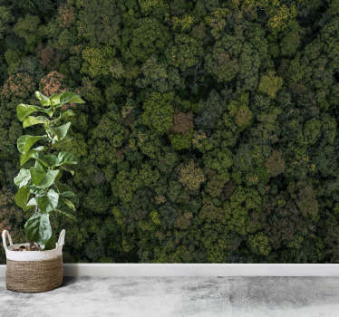 Skov foto træ fototapet - TenStickers