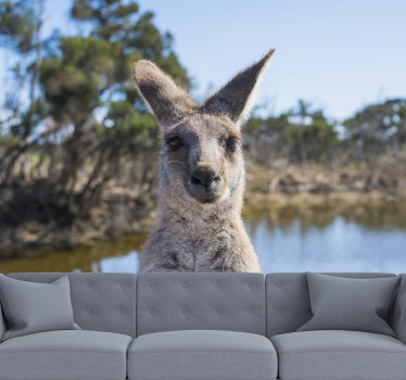 Animal wall mural kangaroo focus - TenStickers