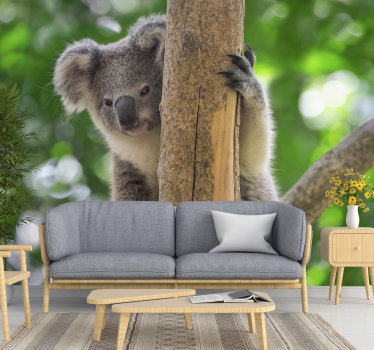 Koala Baby on Tree wall mural - TenStickers