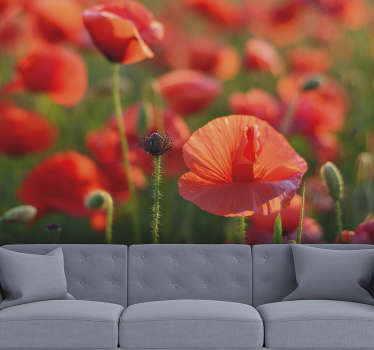 Jarko crveni cvjetovi maka zidni mural - TenStickers
