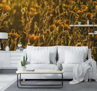 Foto tapete cvijet zlatno cvjetajuća flora - TenStickers